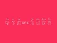 哈尔滨seo培训收费_seo工具教程