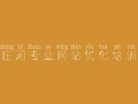 庄河专业网站优化培训 首页关键词优化