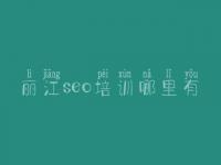 丽江seo培训哪里有_seo排名优化教程