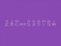武夷山seo培训多少钱啊_通用网站建设