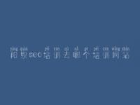 阳泉seo培训去哪个培训网站 网站优化效果