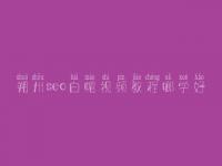 朔州seo白帽视频教程哪学好