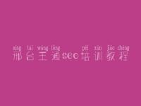 邢台王通seo培训教程 seo教程软件