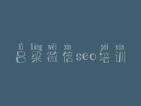 吕梁微信seo培训，电商平台建设