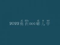 2022禹州seo哪儿学_课程_联系方式