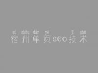 宿州单页seo技术_公司网络优化公司