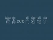 黄南seo内容培训，黑龙江网站建设