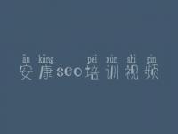 安康seo培训视频，营销网站建设专家