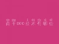 南平seo技术有哪些_网站建设官方网
