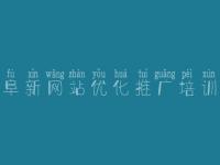 阜新网站优化推广培训_好的优化网络