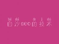 白沙seo的技术 seo教程推荐