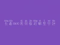 长春seo视频教程哪里学好，seo学完好找工作吗