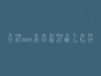 安阳seo视频教程哪儿较好，seo职业具体做什么