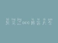 黑龙江seo博客大全 网页建设制作