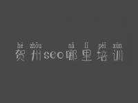 贺州seo哪里培训，seo网络推广优化