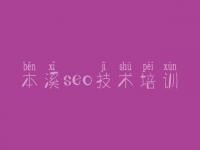 本溪seo技术培训_如何进行网站优化