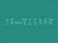兰州seo专业培训费用 seo企业顾问