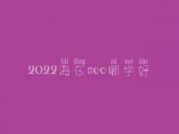 2022海东seo哪学好_一般收费要多少