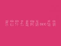 乐山什么是网络seo培训，商城类网站建设