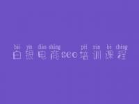 白银电商seo培训课程，网站优化软件哪个好