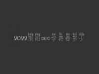 2022衡阳seo学费要多少_服务如何