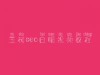 玉树seo白帽视频教程_顶级白帽实操