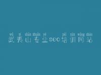 武夷山专业seo培训网站 首页关键字优化