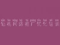 仙桃网络推广优化培训 seo教程教程