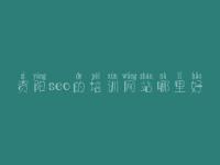资阳seo的培训网站哪里好_seo培训教程视频