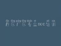 丹东广东专业seo培训，网站seo优化价格