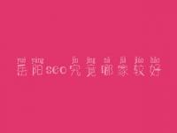 岳阳seo究竟哪家较好_费用得好多