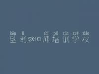 垦利seo师培训学校，网站优化信息