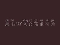 海北seo网络培训视频，供应链优化