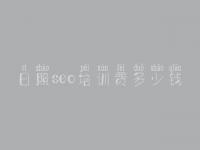 日照seo培训费多少钱 营销型网站建设公司