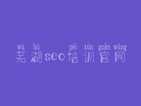 芜湖seo培训官网，seo网站建设教程