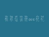 保亭培训班seo优化_网站优化页面