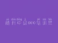 随州中级seo培训班 seo视屏教程