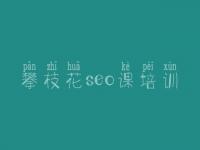 攀枝花seo课培训，江苏网站建设