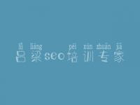 吕梁seo培训专家，seo免费基础教程
