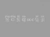 琼中黑帽seo培训，专用网站建设