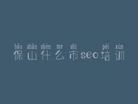 保山什么市seo培训_自己怎样优化网站