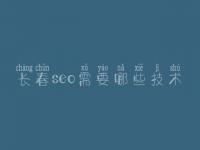 长春seo需要哪些技术，seo教程网站