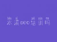 本溪seo培训吗，seo教程哪家好