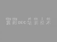 襄阳seo培训技术_怎样网站建设