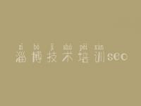 淄博技术培训seo seo研究中心教程
