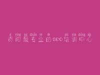 资阳最专业的seo培训中心 网站优化第一