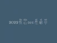 2022保山seo在哪学_课程_联系方式