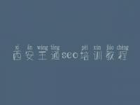 西安王通seo培训教程，没有网站做优化