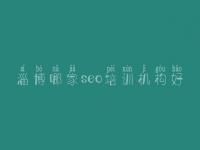 淄博哪家seo培训机构好_网络推广seo优化