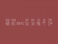 朝阳seo培训那个好_网站优化主要优化哪些地方